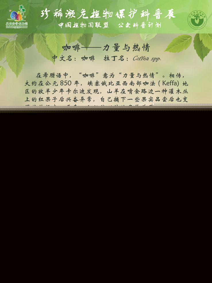 珍稀濒危植物保护科普展 咖啡-力量与热情